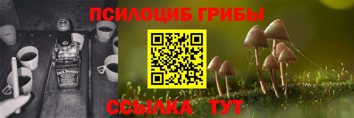 наркошоп  Вход с VPN  Новый Уренгой  Псилоцибиновые грибы ЛСД 
